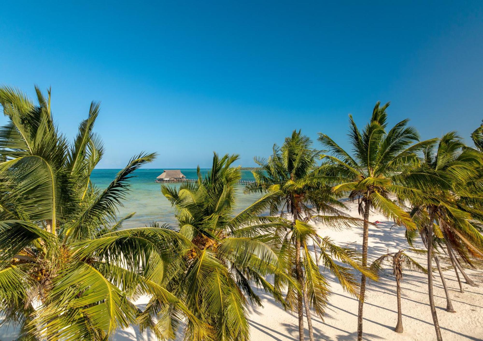 Karibu Beach Resort Pongwe Dış mekan fotoğraf